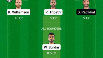 cropped-srh-vs-rr-dream11-team.jpg