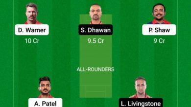 cropped-dc-vs-punjab-dream11-1.jpg