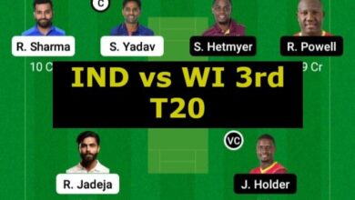 india vs wi 3rd t20