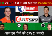 nz vs ned