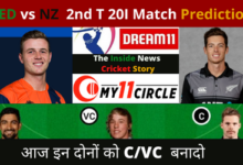 nz vs ned 2nd t20