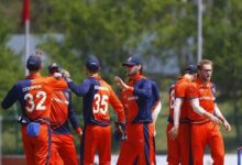 Netherlands cricket team celebrating a victory