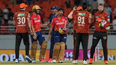 SRH players celebrating after a wicket against Punjab in IPL 2024