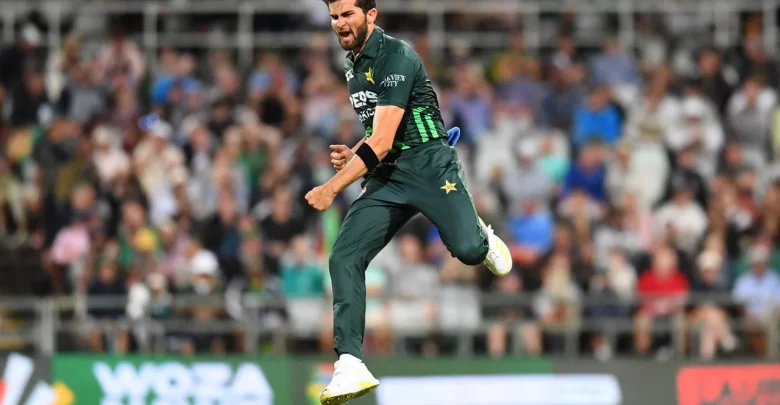 Shaheen Afridi celebrates a key wicket against South Africa during the ODI series at Newlands.