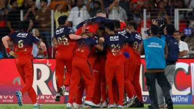 rcb players jubilant after winning their first ipl title in 2025 final against punjab kings