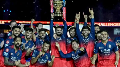 rcb players celebrate after winning ipl 2025 final against pbks