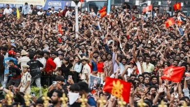 crowd outside m chinnaswamy stadium during rcb celebration in bengaluru june 2025