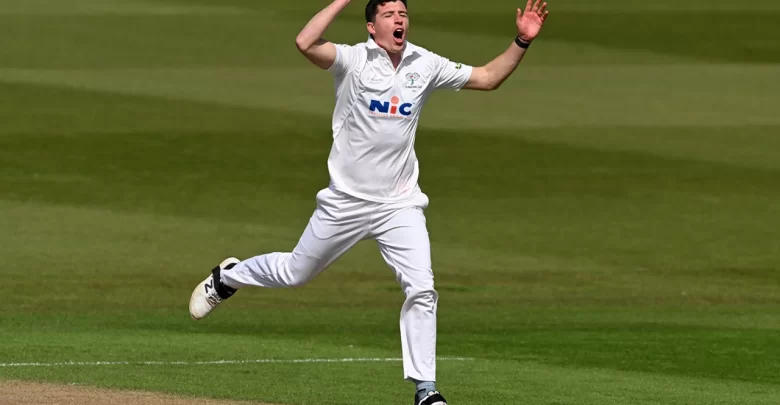 matt fisher earns maiden test call-up for new zealand against zimbabwe