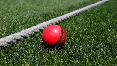 england vs pm's xi pink ball warm up match ahead of ashes 2025